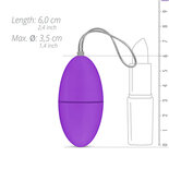 Vibratie Ei Paars - Easytoys