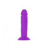 Addiction - Silly Willy Mini Dildo 12 stuks - 8 cm