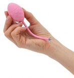 Pillow Talk - Frisky Pleasure Balls - Roze