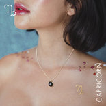 Horoscope Capricorn Set - Sterrenbeeld Steenbok
